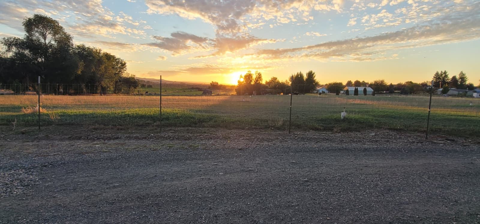 Sunset over a green pasture with a wire fence, trees and buildings in the distance, and a gravel lane in the foreground